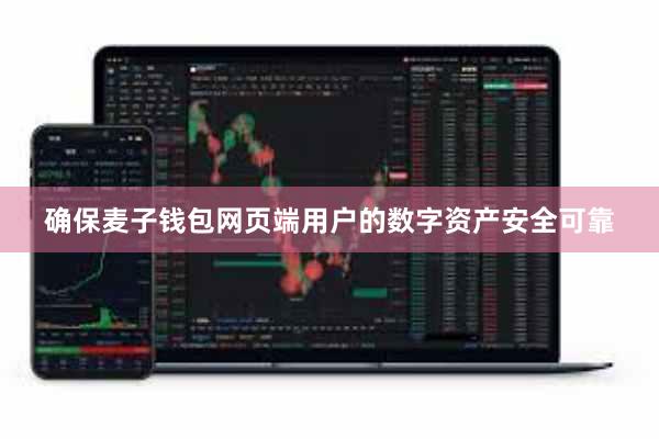 确保麦子钱包网页端用户的数字资产安全可靠