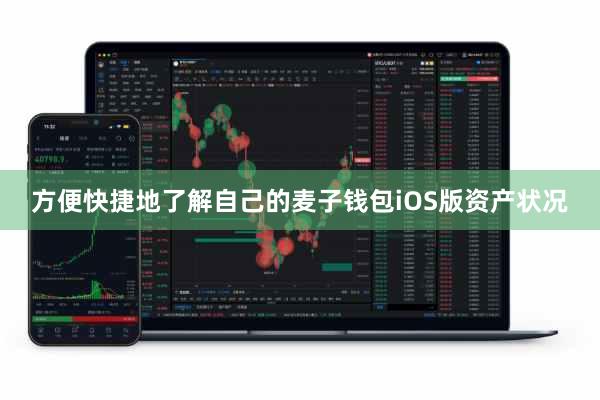方便快捷地了解自己的麦子钱包iOS版资产状况