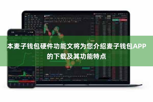 本麦子钱包硬件功能文将为您介绍麦子钱包APP的下载及其功能特点