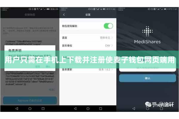 用户只需在手机上下载并注册使麦子钱包网页端用