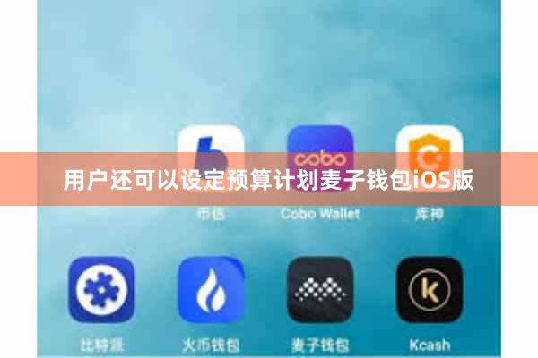 用户还可以设定预算计划麦子钱包iOS版