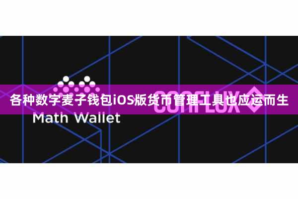 各种数字麦子钱包iOS版货币管理工具也应运而生