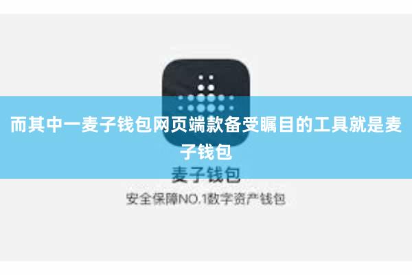 而其中一麦子钱包网页端款备受瞩目的工具就是麦子钱包