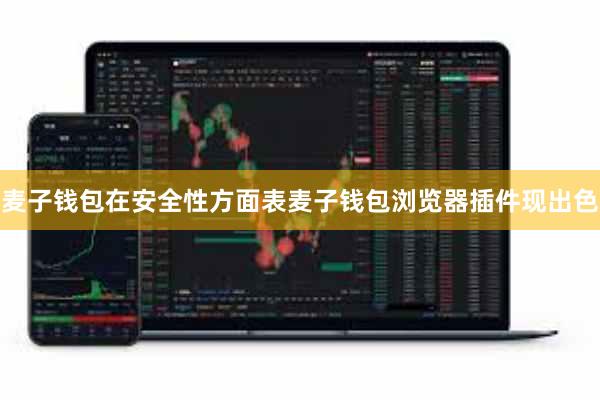 麦子钱包在安全性方面表麦子钱包浏览器插件现出色