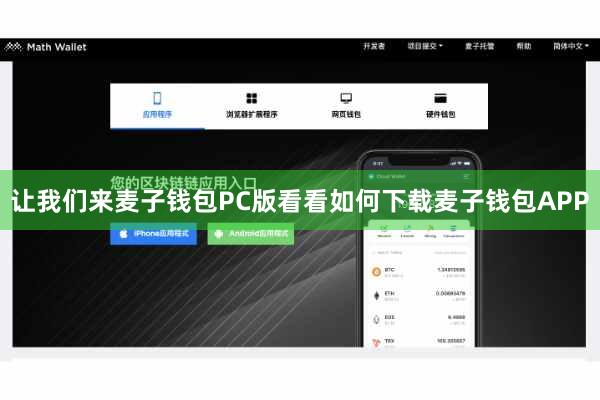 让我们来麦子钱包PC版看看如何下载麦子钱包APP