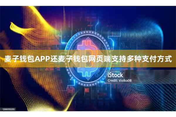 麦子钱包APP还麦子钱包网页端支持多种支付方式