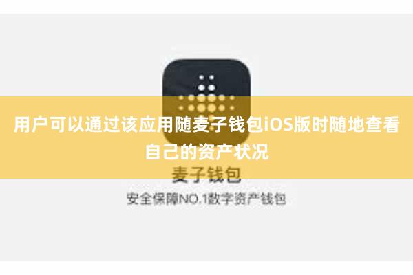 用户可以通过该应用随麦子钱包iOS版时随地查看自己的资产状况