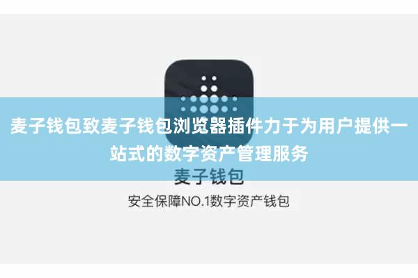 麦子钱包致麦子钱包浏览器插件力于为用户提供一站式的数字资产管理服务