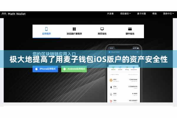 极大地提高了用麦子钱包iOS版户的资产安全性