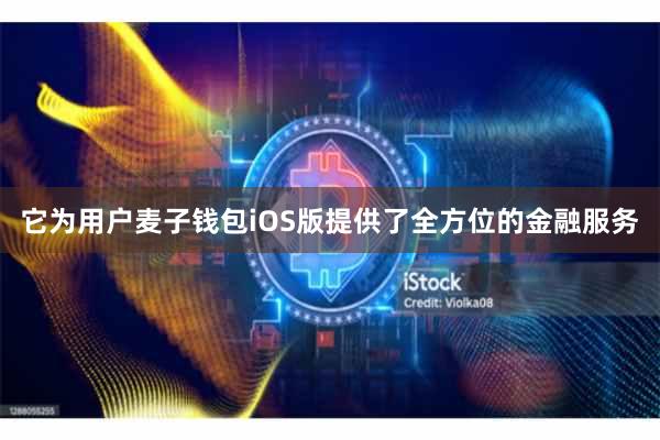 它为用户麦子钱包iOS版提供了全方位的金融服务