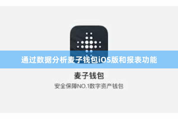 通过数据分析麦子钱包iOS版和报表功能