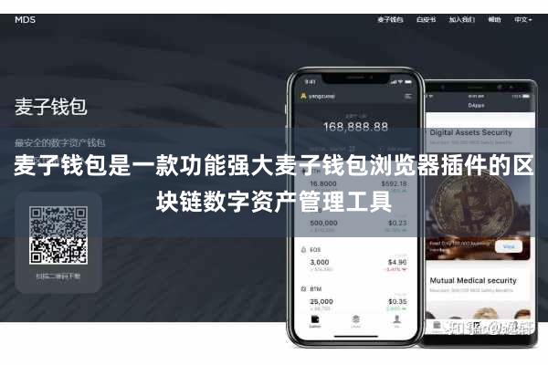 麦子钱包是一款功能强大麦子钱包浏览器插件的区块链数字资产管理工具