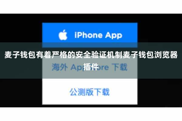 麦子钱包有着严格的安全验证机制麦子钱包浏览器插件
