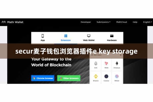 secur麦子钱包浏览器插件e key storage