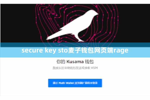 secure key sto麦子钱包网页端rage