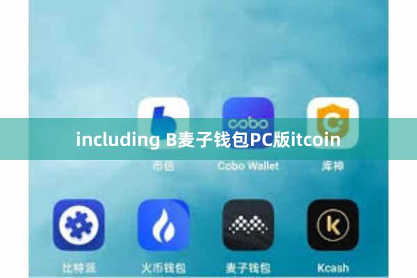 including B麦子钱包PC版itcoin