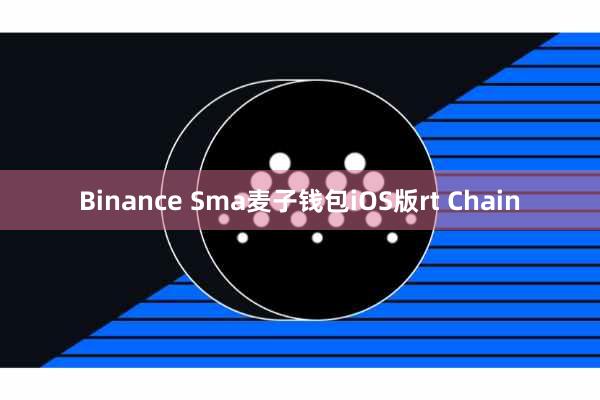 Binance Sma麦子钱包iOS版rt Chain