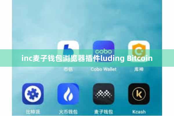 inc麦子钱包浏览器插件luding Bitcoin