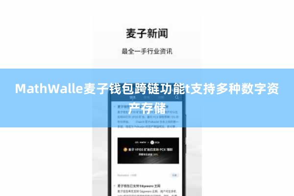 MathWalle麦子钱包跨链功能t支持多种数字资产存储