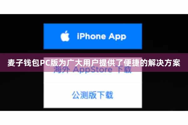 麦子钱包PC版为广大用户提供了便捷的解决方案