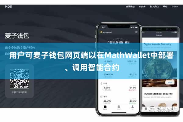 用户可麦子钱包网页端以在MathWallet中部署、调用智能合约
