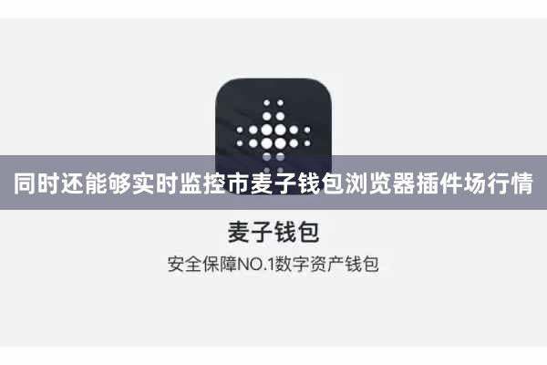 同时还能够实时监控市麦子钱包浏览器插件场行情