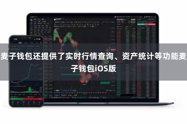 麦子钱包还提供了实时行情查询、资产统计等功能麦子钱包iOS版