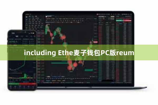 including Ethe麦子钱包PC版reum