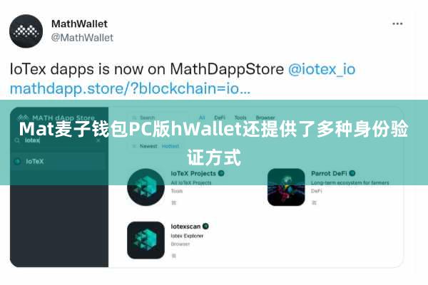 Mat麦子钱包PC版hWallet还提供了多种身份验证方式