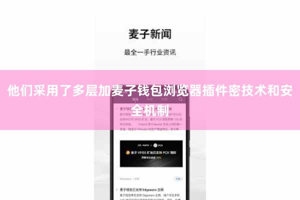 他们采用了多层加麦子钱包浏览器插件密技术和安全机制