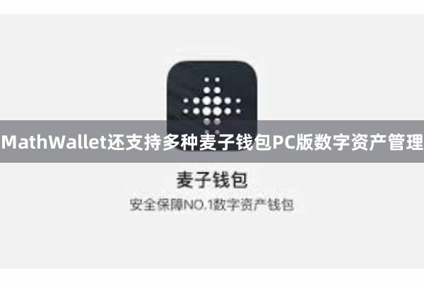 MathWallet还支持多种麦子钱包PC版数字资产管理