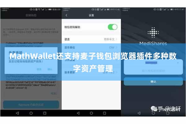 MathWallet还支持麦子钱包浏览器插件多种数字资产管理